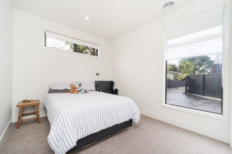 Photo of property in 117a Te Awe Awe Street, Hokowhitu, Palmerston North, 4410
