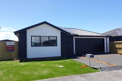 Photo of property in 49 William Nicholls Drive, Belfast, Christchurch, 8051