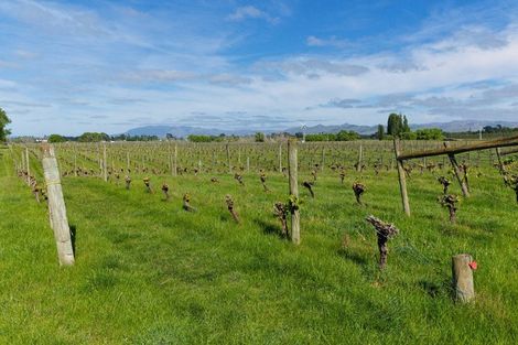 Photo of property in 35 Brighton Street, Island Bay, Wellington, 6023