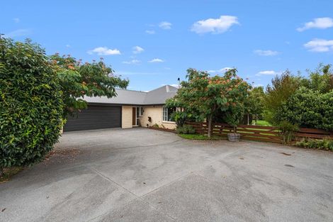 Photo of property in 15 Ormandy Court, Amberley, 7410