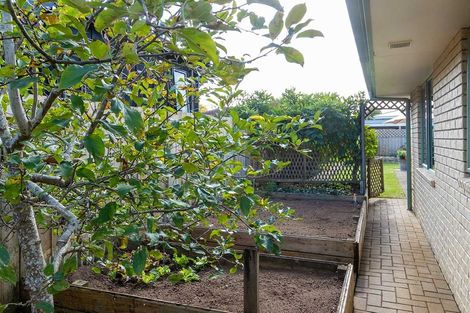 Photo of property in 138a Masters Avenue, Silverdale, Hamilton, 3216