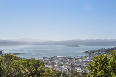 Photo of property in 55 Apuka Street, Brooklyn, Wellington, 6021