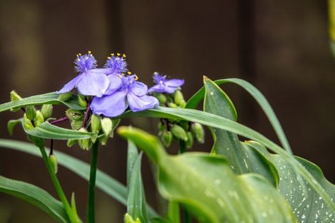 Photo of property in 2a Blundell Place, Katikati, 3129