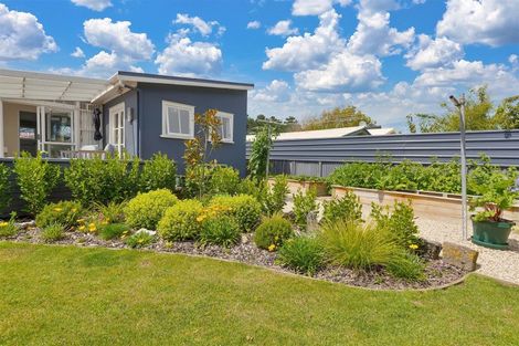 Photo of property in 32 Chamberlain Avenue, Amberley, 7481