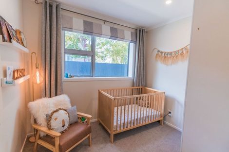 Photo of property in 307 College Street, West End, Palmerston North, 4410