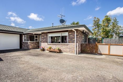 Photo of property in 16b Manchester Street, Levin, 5510