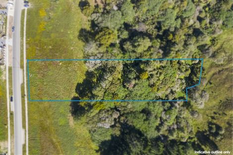 Photo of property in 21 Michael Bosher Way, Flat Bush, Auckland, 2019