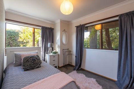 Photo of property in 88 Templemore Drive, Richmond, 7020