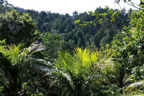 Photo of property in 42 Tanekaha Road, Titirangi, Auckland, 0604