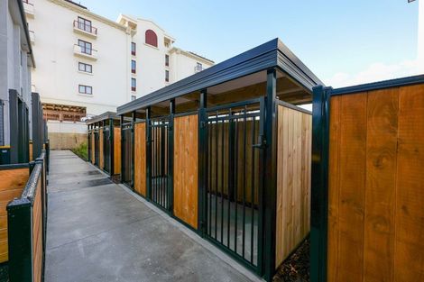 Photo of property in 1/7 Hinemoa Street, Spreydon, Christchurch, 8024