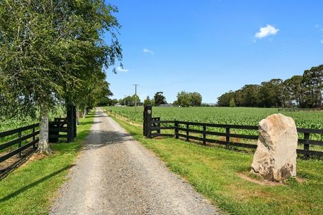 Photo of property in 127 Norrish Road, Ohaupo, 3881