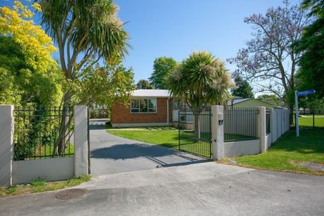 Photo of property in 132 Tennyson Street, Leamington, Cambridge, 3432