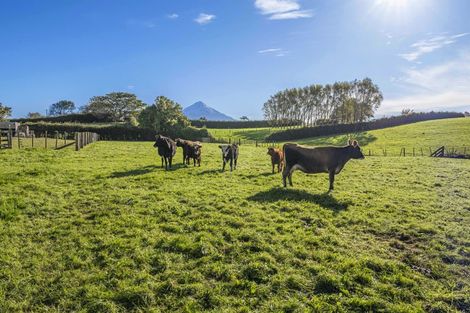 Photo of property in 241 Warwick Road, Stratford, 4391