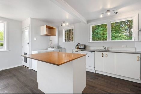 Photo of property in 24 Mahoe Street, Levin, 5510