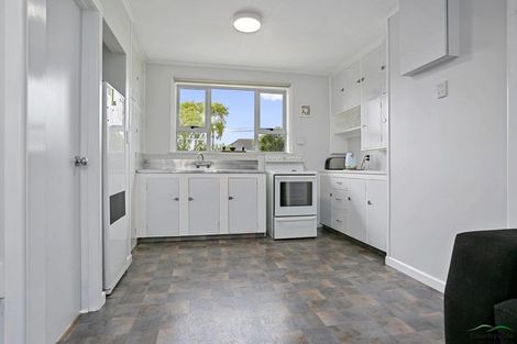 Photo of property in 24 Clothier Street, Putaruru, 3411