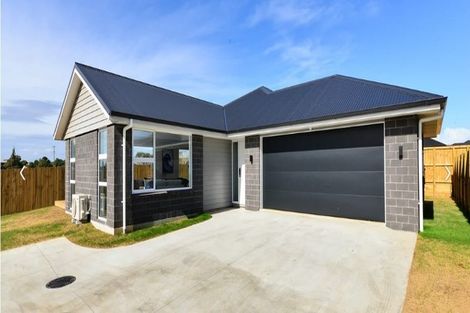 Photo of property in 17 Rose Street, Tirau, 3410