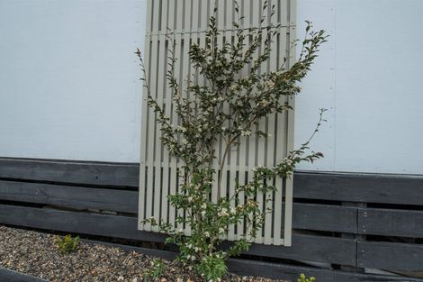 Photo of property in 27 Willow Lane, Ohakune, 4625