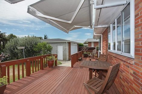 Photo of property in 17 Henare Street, West End, Palmerston North, 4412