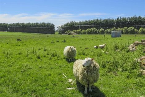 Photo of property in 35 Grove Bush Woodlands Road, Woodlands, Invercargill, 9871