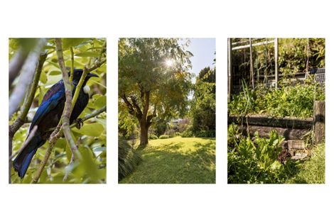 Photo of property in 54 Resolution Road, Welcome Bay, Tauranga, 3112
