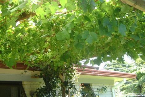 Photo of property in 341a Matauri Bay Road, Kaeo, 0478