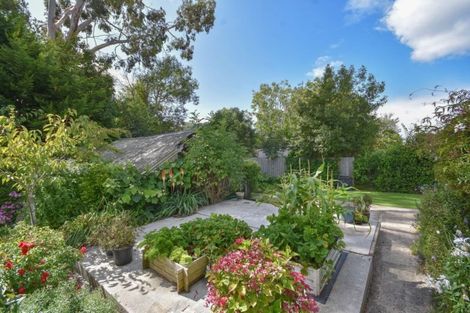 Photo of property in 32a Hall Road, Sawyers Bay, Port Chalmers, 9023