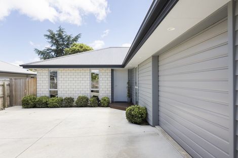 Photo of property in 31a Manson Street, Terrace End, Palmerston North, 4410