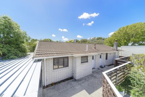 Photo of property in 395 College Street, Hokowhitu, Palmerston North, 4410