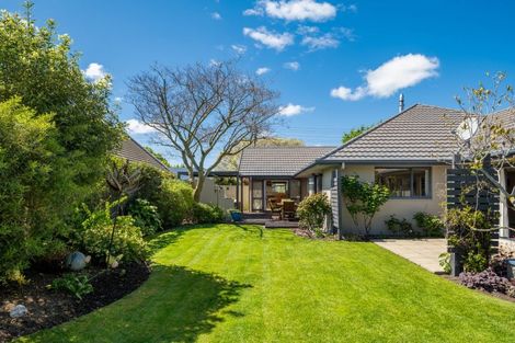 Photo of property in 51 Murphys Road, Springlands, Blenheim, 7201