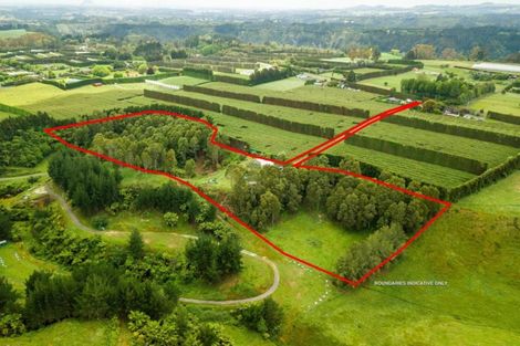 Photo of property in 594 Omanawa Road, Omanawa, Tauranga, 3171