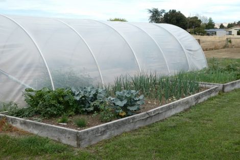 Photo of property in 38 Montrose Avenue, Culverden, 7392