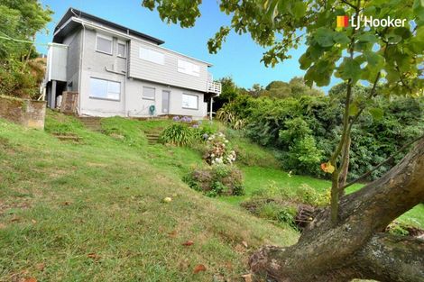 Photo of property in 16 Junction Road, Ravensbourne, Dunedin, 9022