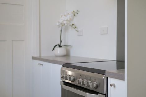 Photo of property in 4 Falcon Street, Roslyn, Dunedin, 9010