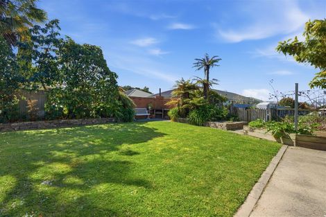 Photo of property in 19 Woodland Avenue, Motueka, 7120