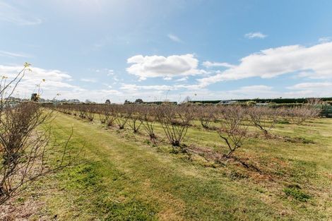 Photo of property in 36 Hogbin Road, Te Teko, Whakatane, 3193