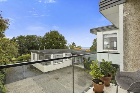 Photo of property in 18d Lawson Street, Roslyn, Dunedin, 9011