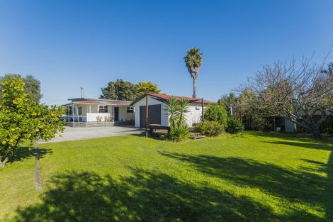 Photo of property in 19 Scott Street, Elgin, Gisborne, 4010