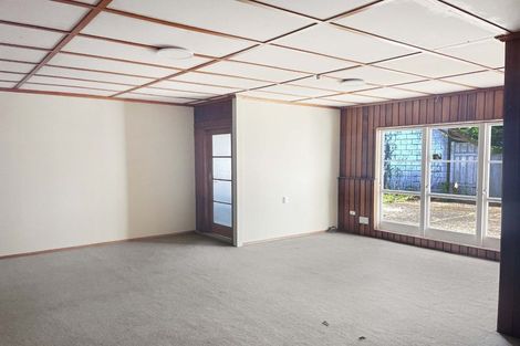 Photo of property in 24 Cornwall Street, Hutt Central, Lower Hutt, 5010