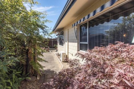 Photo of property in 14 Saint Hill Lane, Havelock North, 4130