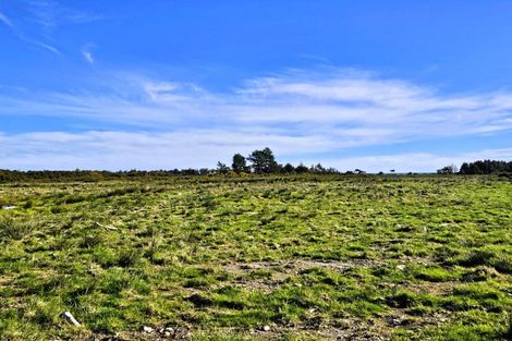 Photo of property in 84 Newcastle Street, Clyde, 9330