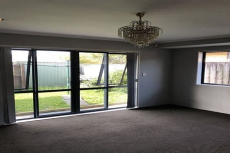 Photo of property in 49 Pitt Avenue, Clendon Park, Auckland, 2103