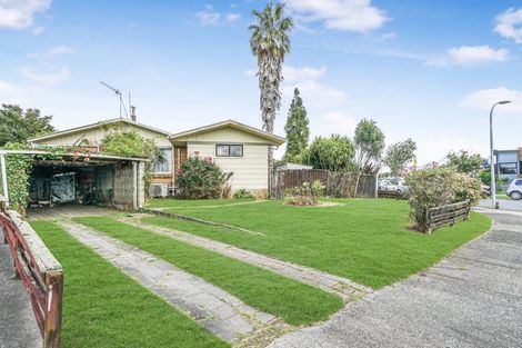 Photo of property in 19 Patricia Avenue, Hamilton East, Hamilton, 3216