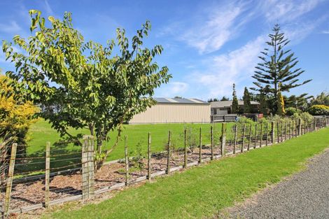 Photo of property in 131 Palmer Road, Foxton Beach, Foxton, 4891