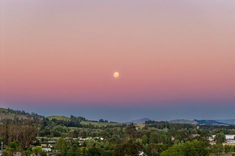 Photo of property in 21 Kyle Road, Waipukurau, 4281