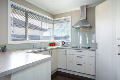 Photo of property in 22a Elzy Street, Blenheim, 7201