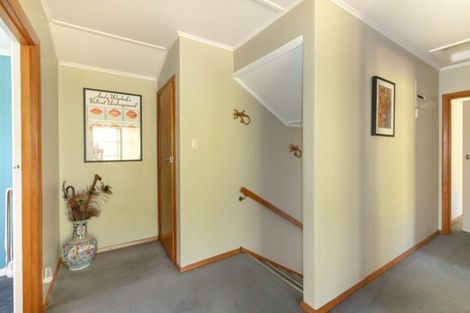 Photo of property in 113 Mulford Street, Concord, Dunedin, 9018