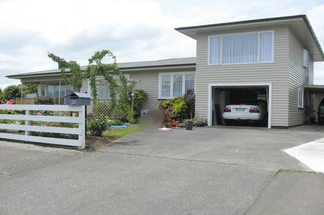 Photo of property in 45 Derby Street, Feilding, 4702