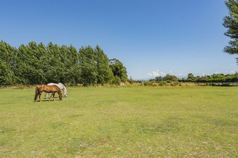 Photo of property in 543 Bangor Road, Darfield, 7571