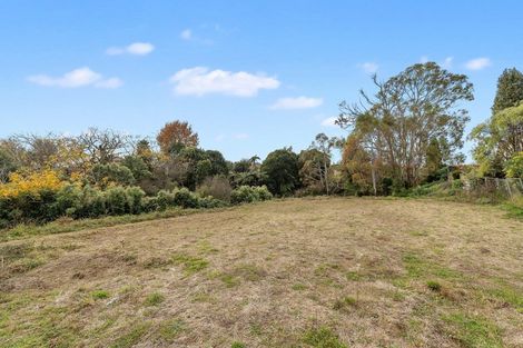 Photo of property in 29 Balloch Street, Fairfield, Hamilton, 3214