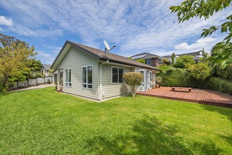 Photo of property in 22 Mcfetridge Lane, Ohauiti, Tauranga, 3112